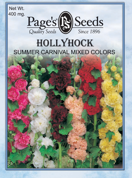 SUMMER CARNIVAL HOLLYHOCK 400M