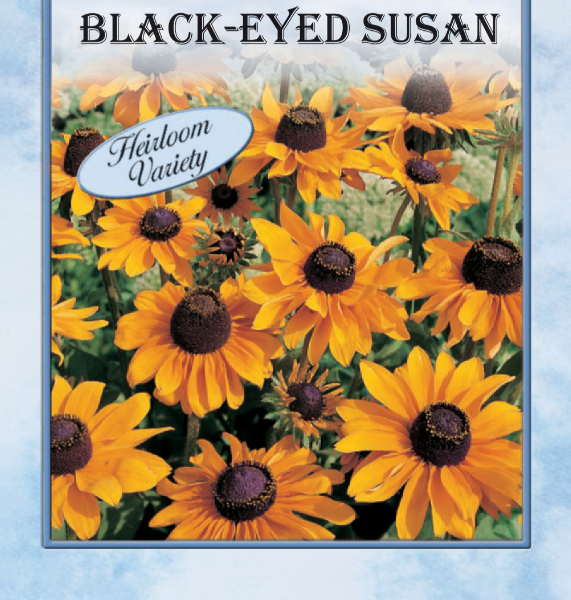 BLACK-EYED SUSAN 350MG