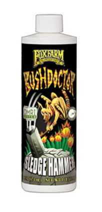 BUSHDOCTOR SLEDGEHAMMER PINT