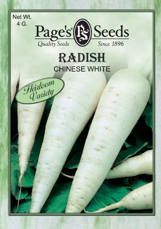 CHINESE WHITE RADISH 4GR