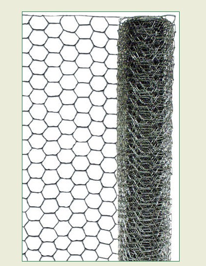 2"X24"X50'POULTRY NETTING