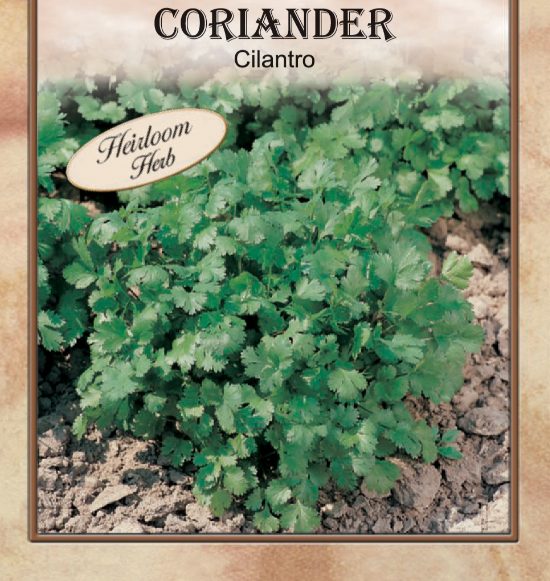 ANNUAL CORIANDER HERB 1.5GR