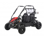 GO KART 196CC 2 SEATS