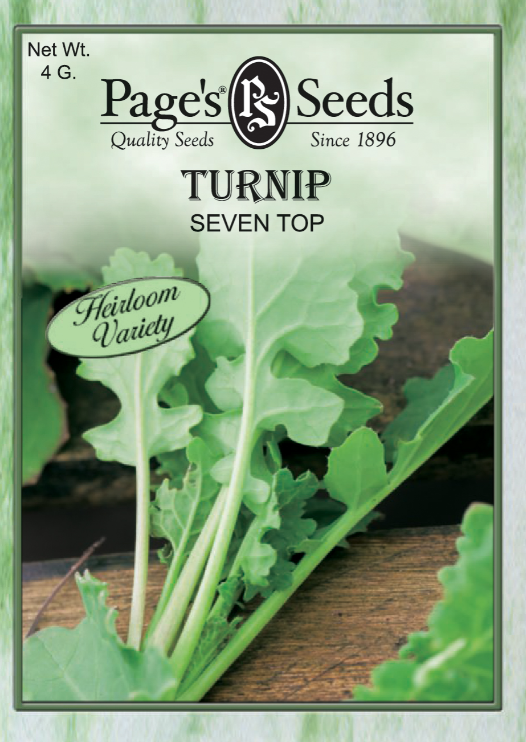 SEVEN TOP TURNIP 4GR