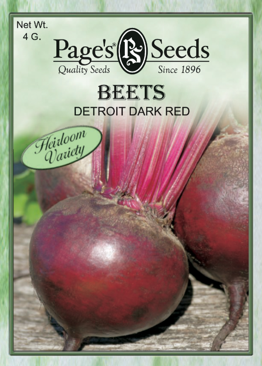 DETROIT DARK RED BEETS 4GR