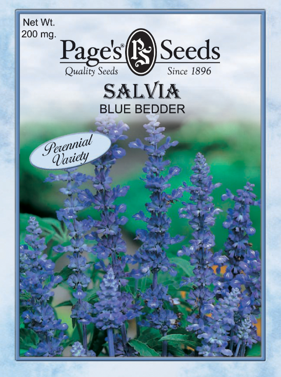 BLUE BEDDER SALVIA 200MG
