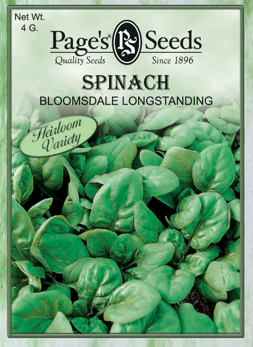 BLOOMSDALE SPINACH 4GR
