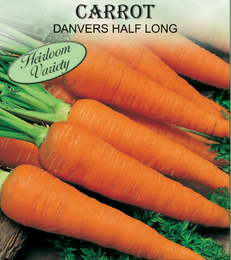 DANVERS HALFLONG CARROT 450MG