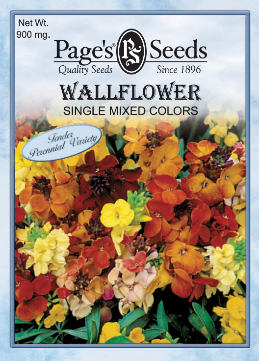 MIXED COLORS WALLFLOWER 900MG