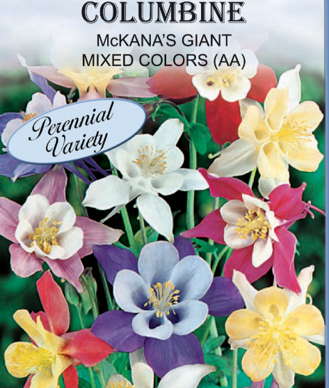 MCKANA'S GIANT COLUMBINE 150MG