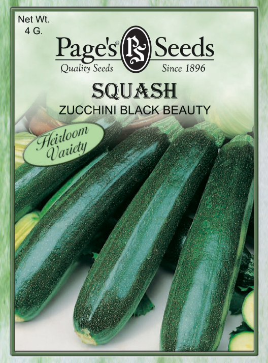 BLACK BEAUTY ZUCCHINI SQUASH 4GR