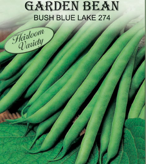 BLUE LAKE 274 BUSH BEAN 6.5GR