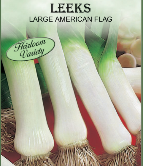 LARGE AMERICAN FLAG LEEK 650MG