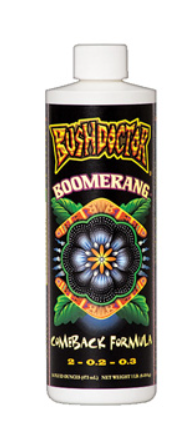 BUSHDOCTOR BOOMERANG PINT