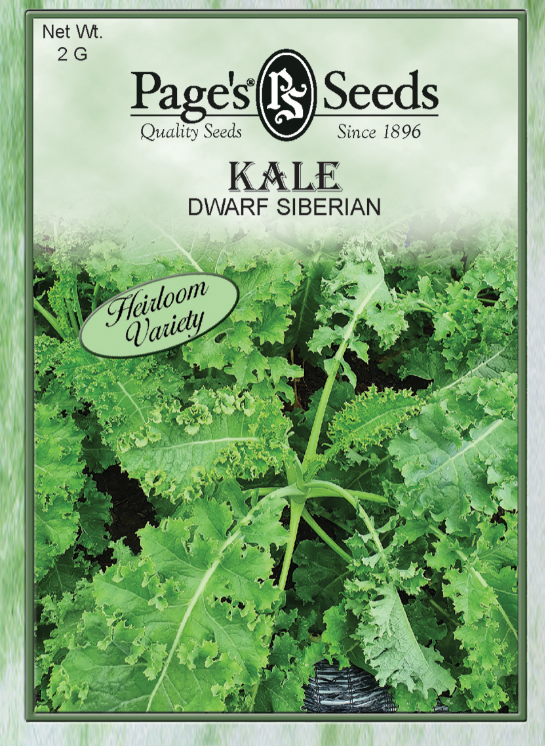 DWARF SIBERIAN KALE 2GR