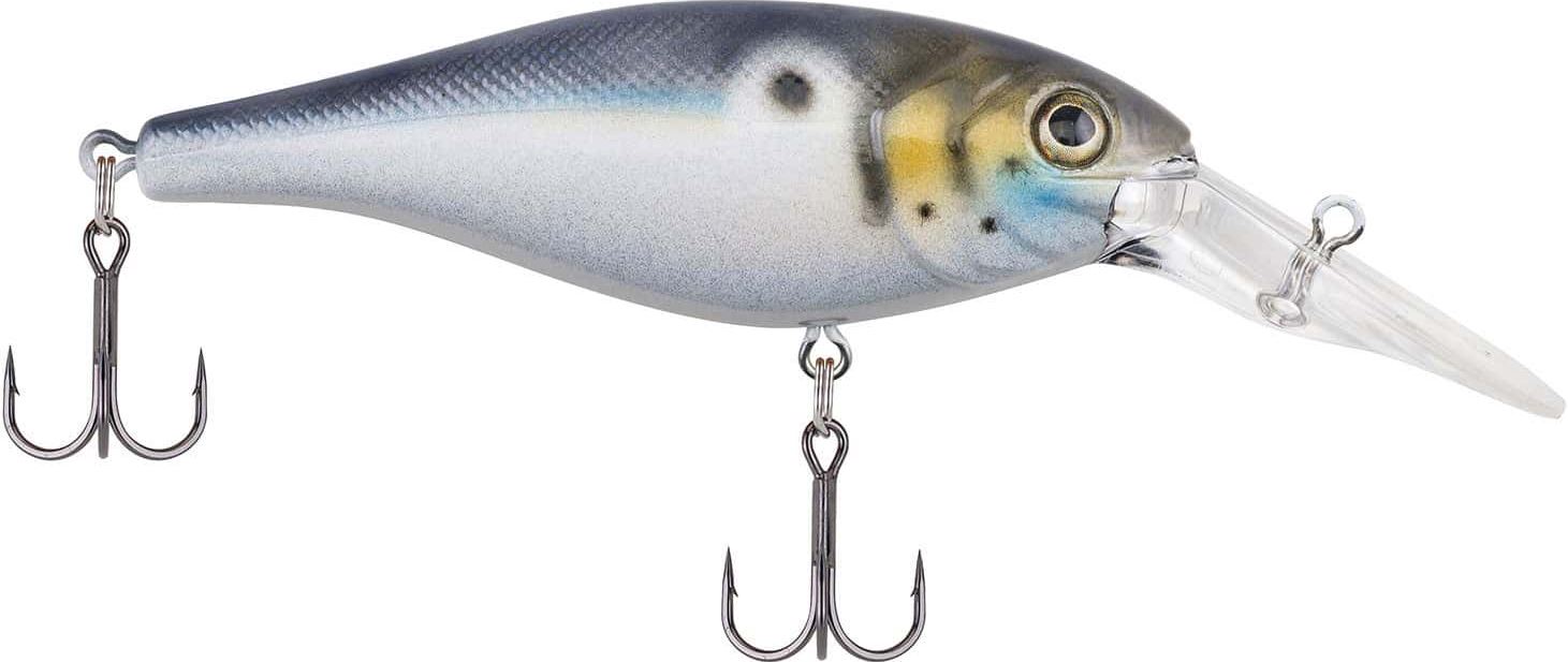 BLUE BLACK BAD SHAD CRANKBAIT