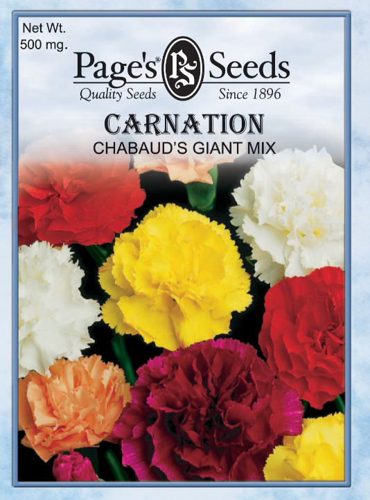 CHABAUD'S GIANT CARNATION 500
