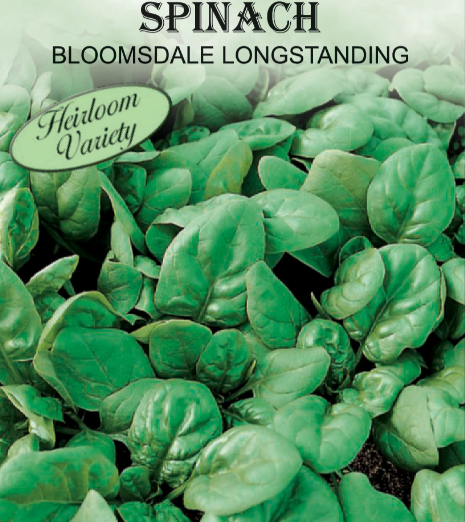 BLOOMSDALE SPINACH 1GR