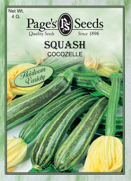 COCOZELLE SQUASH 4GR