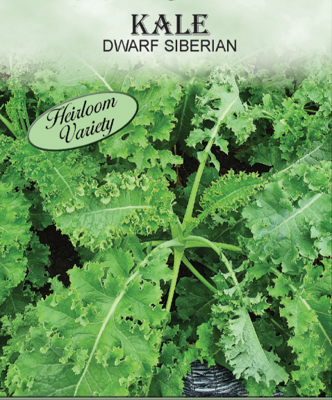 DWARF SIBERIAN KALE 1GR