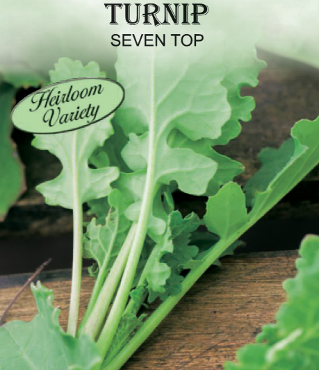 SEVEN TOP TURNIP GREENS 1.25GR