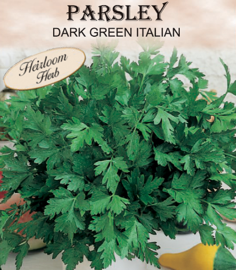 DARK GREEN ITALIAN PARSLEY 1.3GR