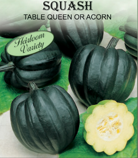 TABLE QUEEN ACORN SQUASH 1.8GR