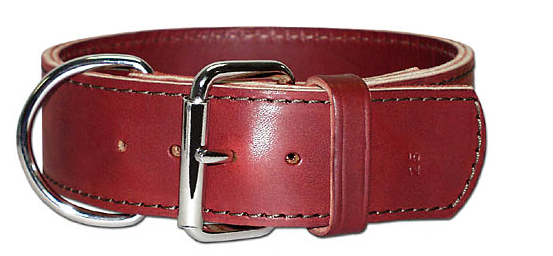 BROWN LATIGO DOG COLLAR