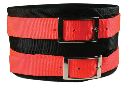 LARGE ORANGE HOG DOG COLLAR