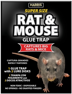 RAT AND MOUSE GLUE TRAP