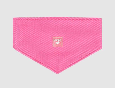 NEON PINK COOLING DOG BANDANA SM