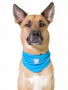 BLUE COOLING DOG BANDANA LRG