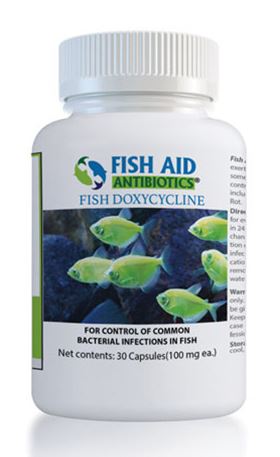 FISH DOX 100MG 30COUNT
