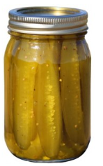 CANDIED PICKLE STICKS 16OZ