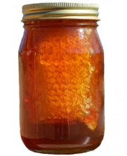 HONEY W/COMB 16OZ