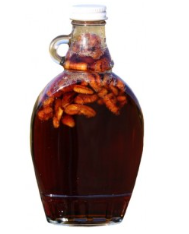 TOASTED PECAN SYRUP 8OZ