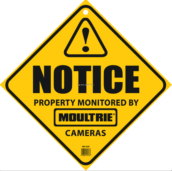 CAMERA SURVEILLANCE SIGN