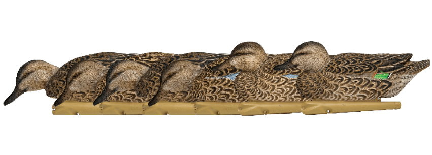 EARLY SEASON DUCK DECOYS 6PK