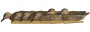 EARLY SEASON DUCK DECOYS 6PK