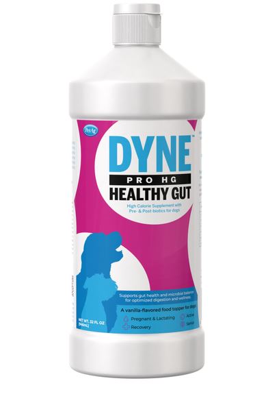 DYNE PRO HG 16OZ