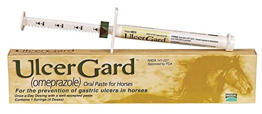 ULCERGARD ORAL PASTE 4-DOSE