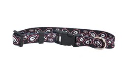 UGA TEAM COLLAR
