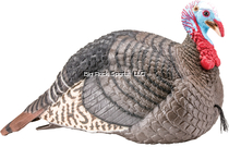 STRUT-LITE TOM TURKEY DECOY
