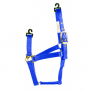 BLUE PONY HALTER