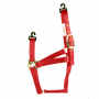 RED COLT HORSE HALTER