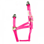 HOT PINK MEDIUM HORSE HALTER