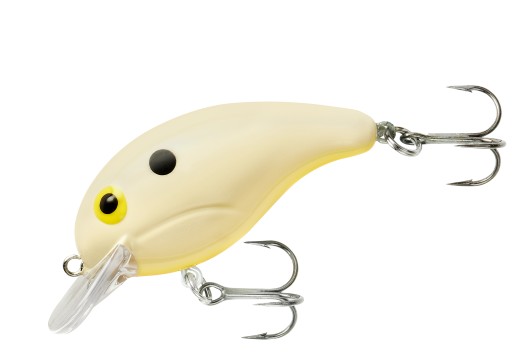 BANDIT BONE ORANGE BELLY