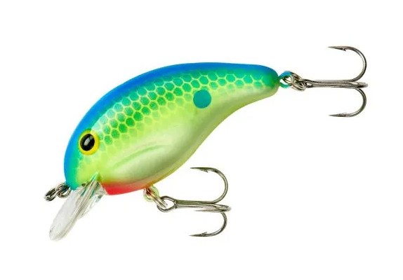 BANDIT CITRUS SHAD