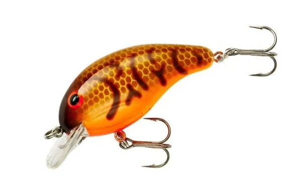 BANDIT BROWN CRAW ORNG BELLY