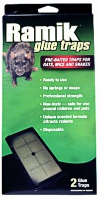 RAMIK PRE-BAITED GLUE TRAPS 2PK
